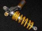 ÖHLINS ttx36 with factory gp adjuster