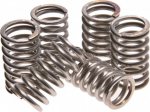6 KoppelingVeren set Ducati 1098, 999, monster